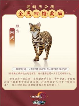 天龙八部私服六新区